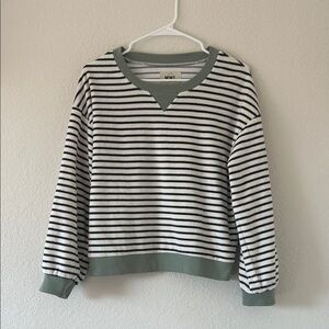 Striped Navy and White Madewell Sweater